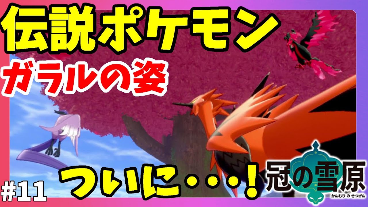 【ポケモンソードシールド】ついに伝説ファイヤー！サンダー！フリーザー出現！ガラルの姿かっこいい！#11冠の雪原【エキスパンションパス】