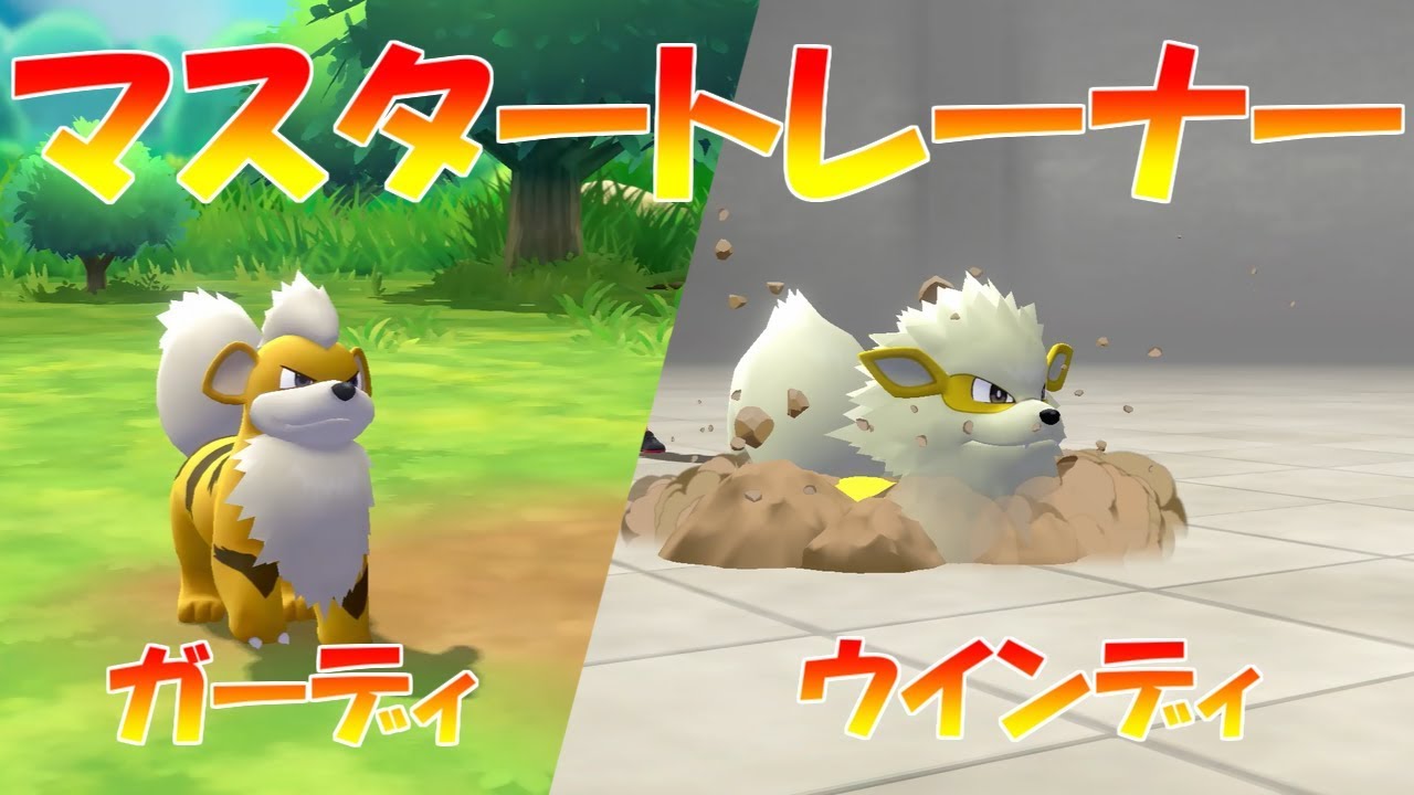 【ポケモン】マスタートレーナー（ガーディ、ウインディ）【ピカブイ】