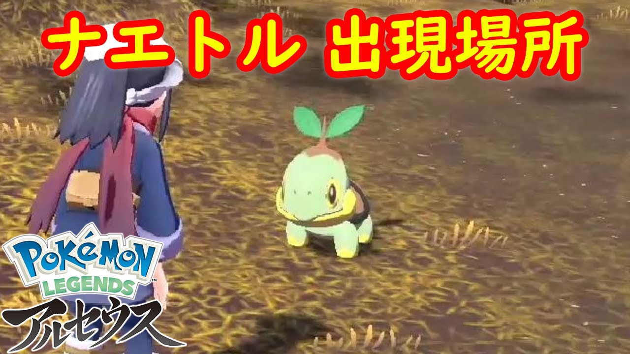 【ナエトル】出現場所 入手方法 攻略  【Pokémon LEGENDS アルセウス ポケモン レジェンズ アルセウス】