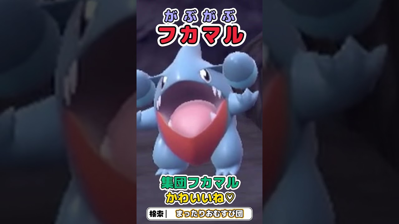 がぶがぶフカマルかわいいね♡　＃Short　#shorts　＃ポケモンsv
