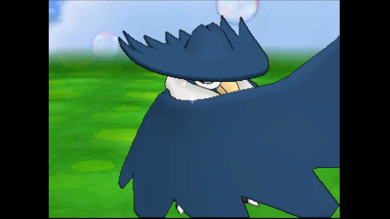 ポケパルレ　ドンカラスと戯れるだけの動画
