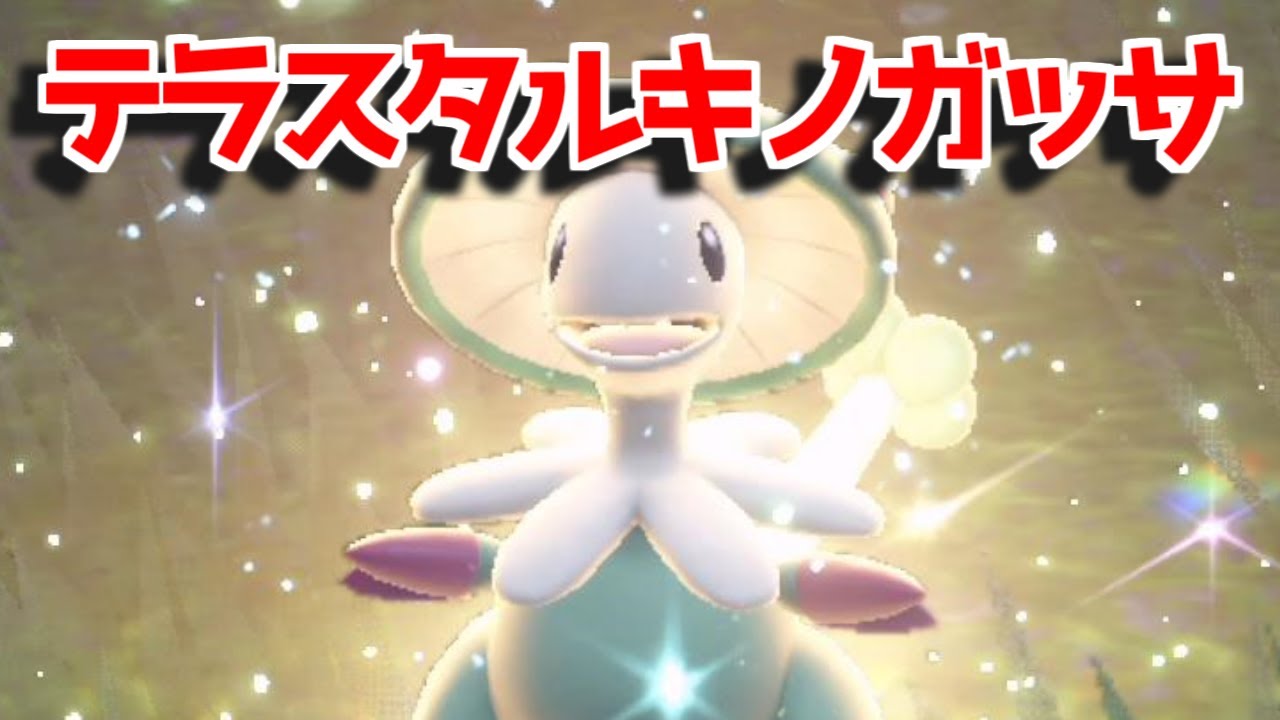 【ポケモンSV】テラスタル キノコほうし キノガッサ  出現場所 入手方法   攻略【ポケモン スカーレット・バイオレット】