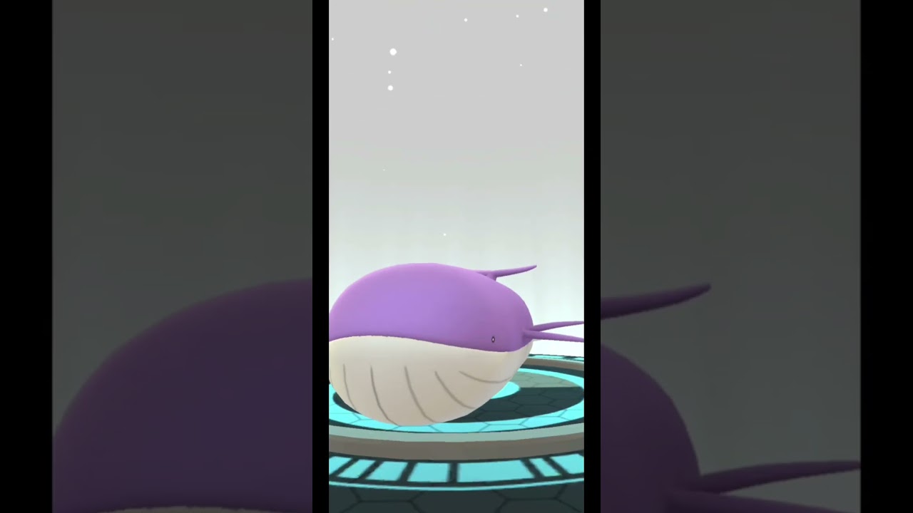Shiny Wailmer evolves into... #Wailord #pokemongo #pokemon #whale #big #lord #Purple  #water #shiny