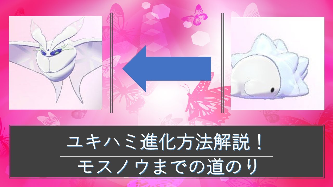【ポケモン剣盾】ユキハミ進化方法！モスノウになるまでを解説！
