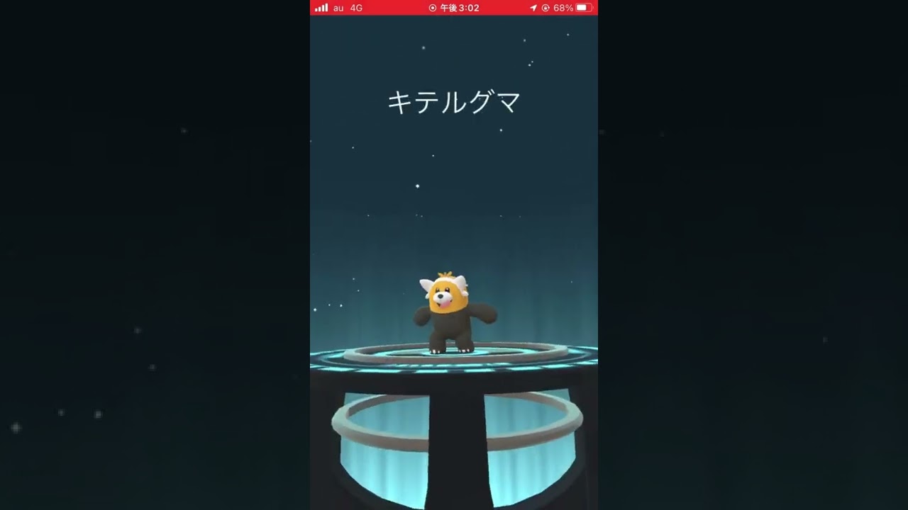 色違いヌイコグマをキテルグマに進化させた！ #ポケモンgo #色違い