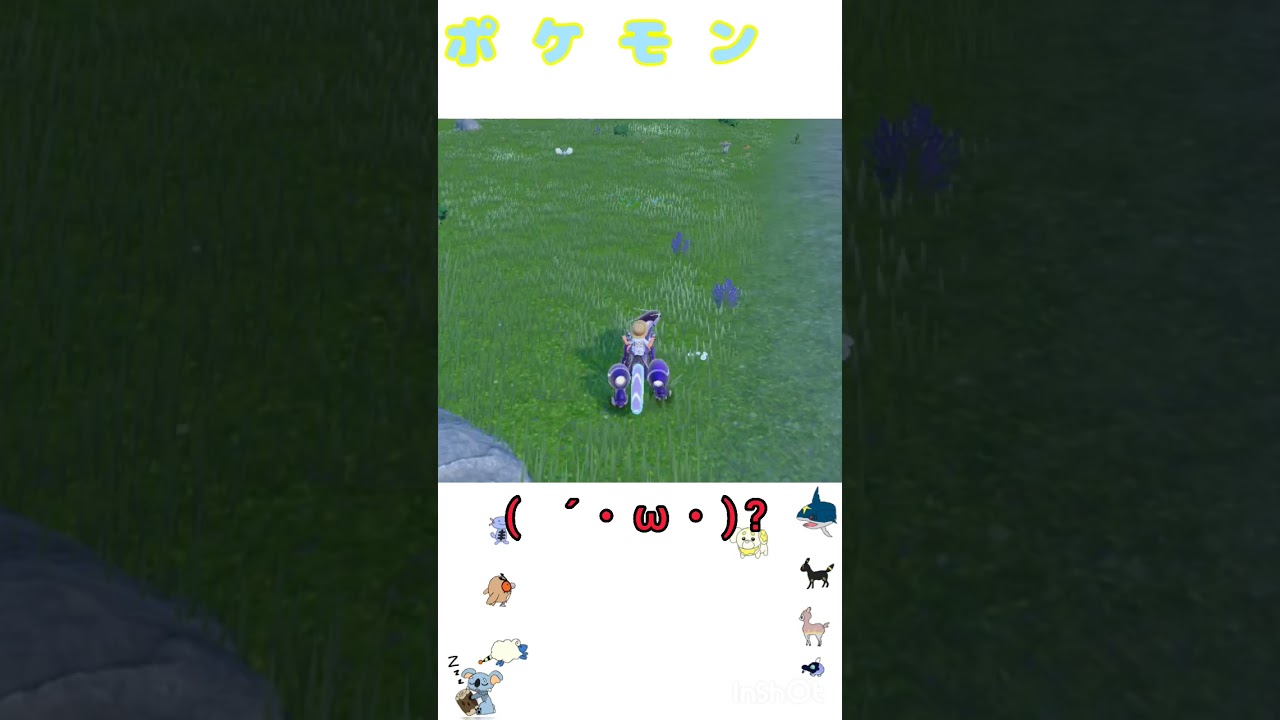 チルットって可愛いな #ポケモンsv