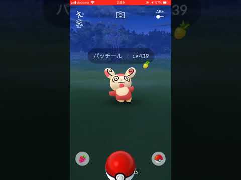 ポケモンGOにてパッチールと出会う