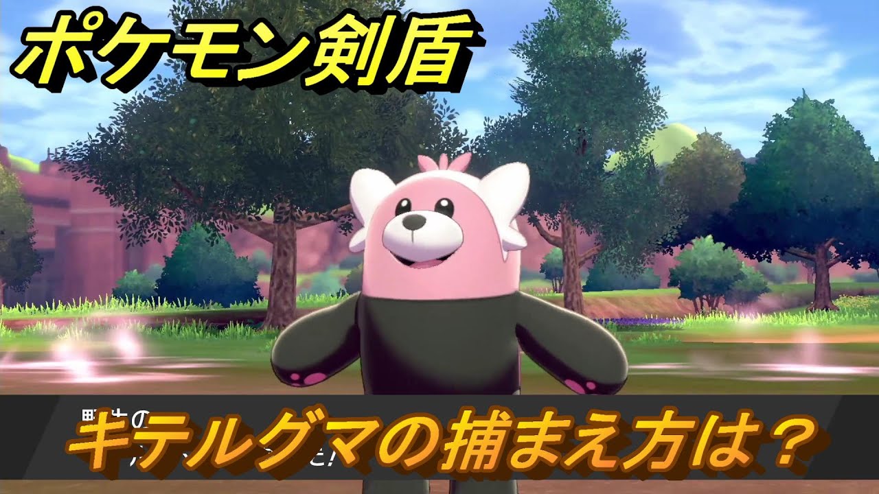 ポケモン剣盾　キテルグマを捕まえる方法！オススメの場所は？天気は？ポケモン図鑑コンプへの道！　最新版【ポケモンソード・シールド】