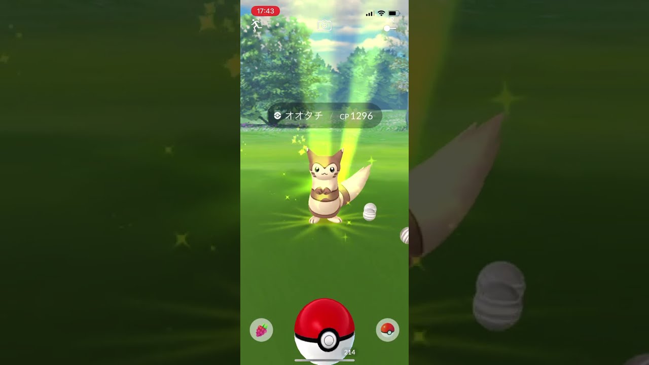 ポケモンgo 野生のオオタチゲットチャレンジ