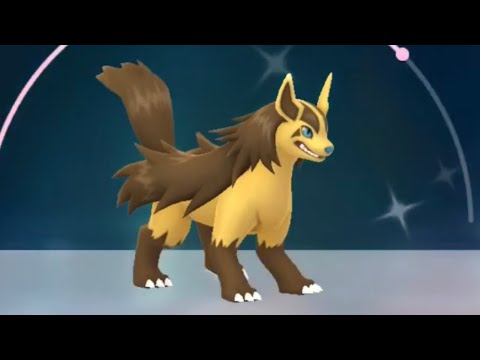 ポケモンGO  金のポチエナ  羽田空港