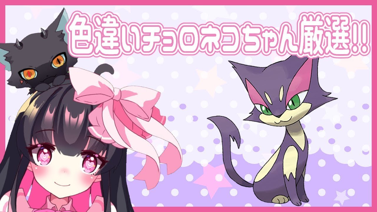 【 ポケモン剣盾 】 色違い チョロネコ ちゃん厳選！ 理想個体配布 【 Vtuber 】 ポケットモンスターソード・シールド 羽苺丸ひめか