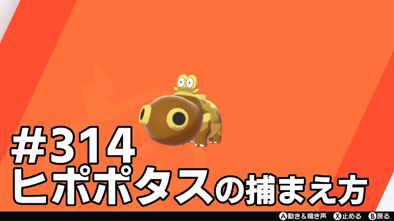 ヒポポタスを探している方に見てほしい動画