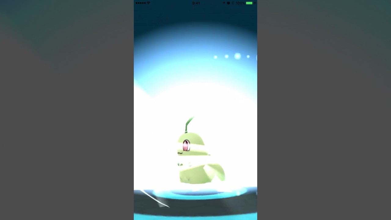 【ポケモンGO】金銀　進化動画　チコリータからベイリーフ