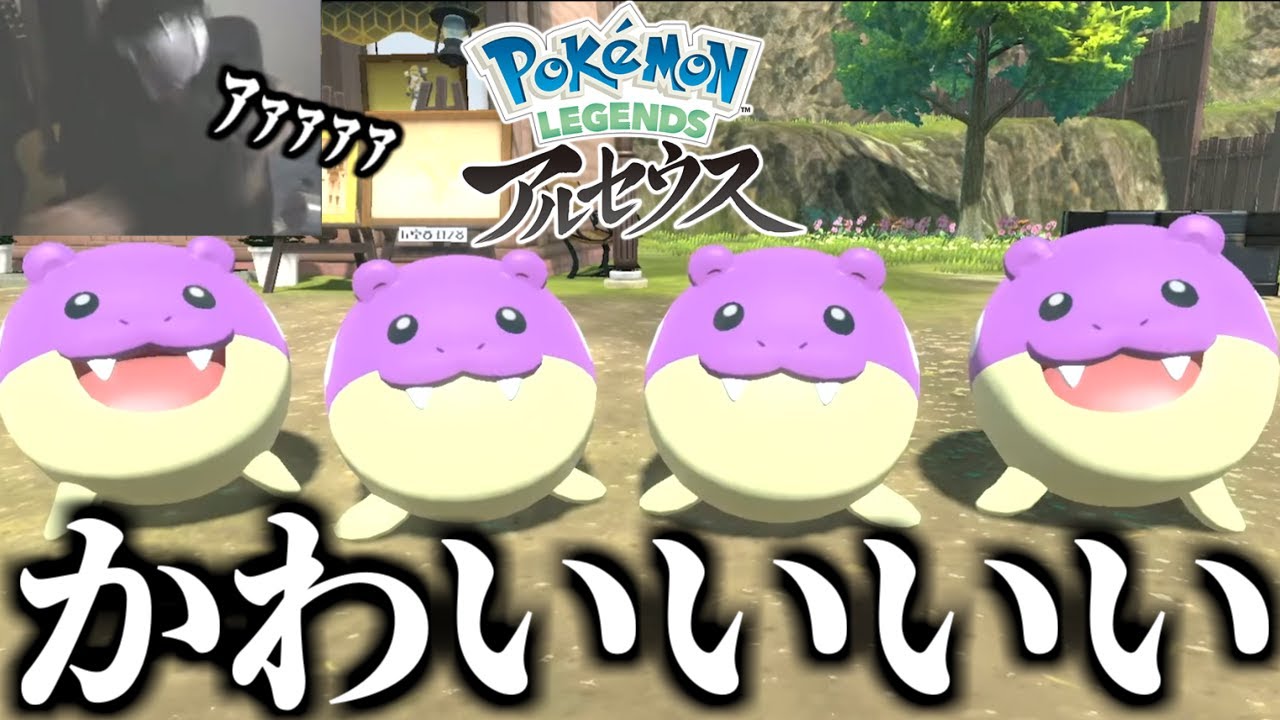 4匹目の色違いオヤブンタマザラシを捕まえていつもよりうるさくなってしまった男【ごまちゃん切り抜き】【ポケモンLEGENDSアルセウス】