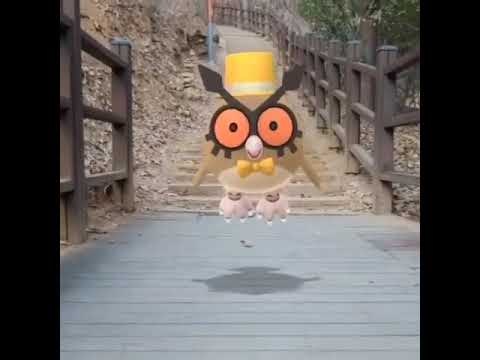 부우부 ( Hoothoot ) ホーホー ( 咕咕 )