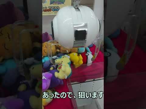 ヒノアラシのぬいぐるみが、お得にGETできちゃいました♪