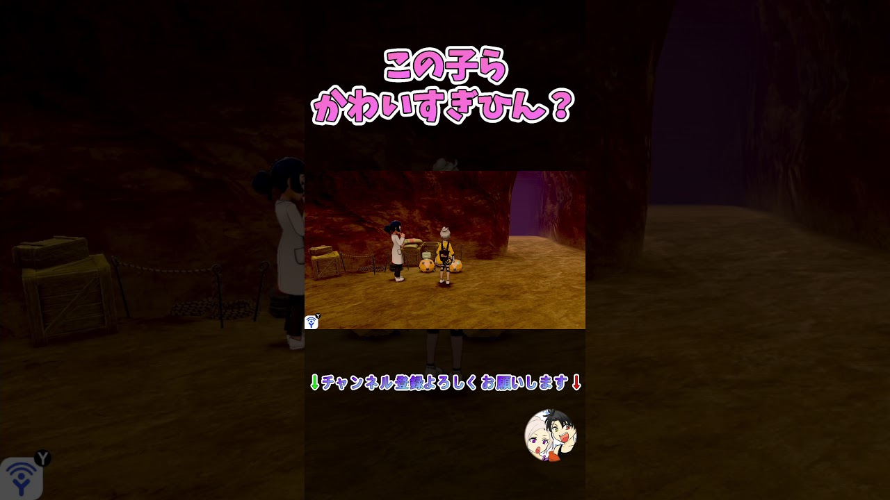 この子ら見て。ホンマに可愛すぎる。ぬいぐるみ欲しい。【ポケットモンスター ソード DLC】【冠の雪原】【ポケモン剣盾】【Switch】#shorts