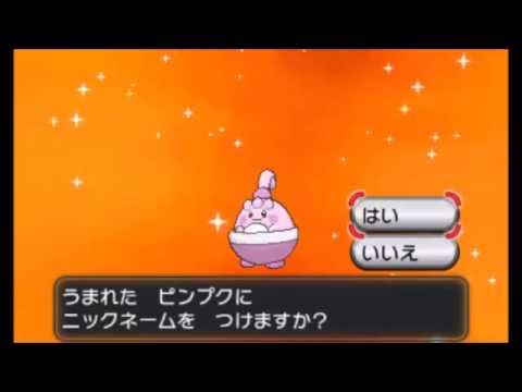 【国際孵化】色違いピンプクの孵化～最終進化まで