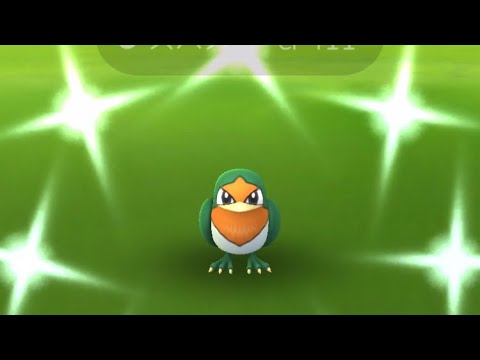【ポケモンGO】色違いスバメきましたー！ #shorts