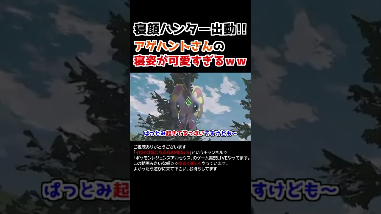 アゲハントさんの「寝姿」が可愛すぎるww【Pokémon LEGENDS アルセウス】【寝顔ハンター】