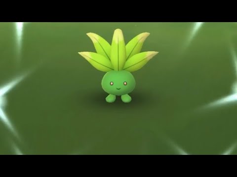【ポケモンGO】色違いナゾノクサ再びゲットの瞬間！ #shorts