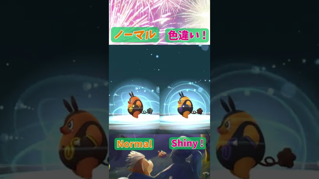 ポカブ色違い(Tepig Shiny) → チャオブー色違い (Pignite Shiny) → エンブオー色違い (Emboar Shiny)【Pokémon GO】 #Shorts