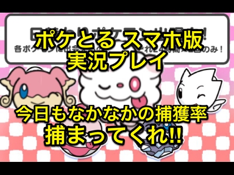 【今日も捕まんない…】 スペシャル日替わり ペロッパフを愛し、ペロッパフから愛された男なのにGET出来ない… ポケとる スマホ版 実況プレイ