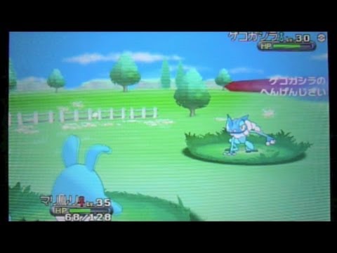 ポケットモンスターX・Y-106「フレンドサファリ＆変幻自在ゲコガジラ」