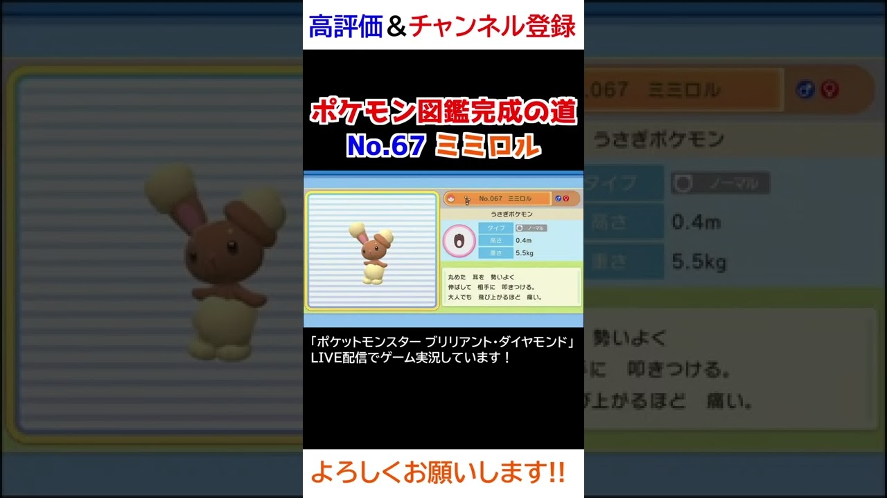 No.67 ミミロル図鑑登録完了！【ポケモンBDSP】