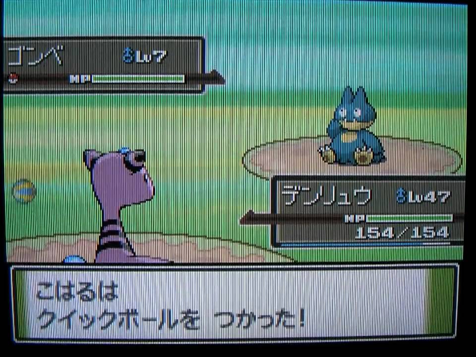 ポケモン プラチナでゴンベゲット