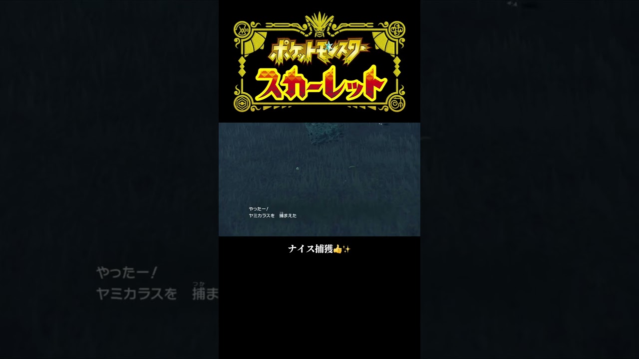 #shorts #ポケモンsv #スカーレット #色違いポケモン #ヤミカラス #ドンカラス