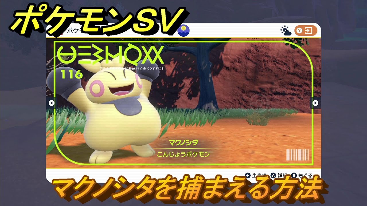 ポケモンＳＶ　マクノシタを捕まえる方法！出現場所は？図鑑No.１１６　ポケモン図鑑を埋めよう！　【スカーレット・バイオレット】