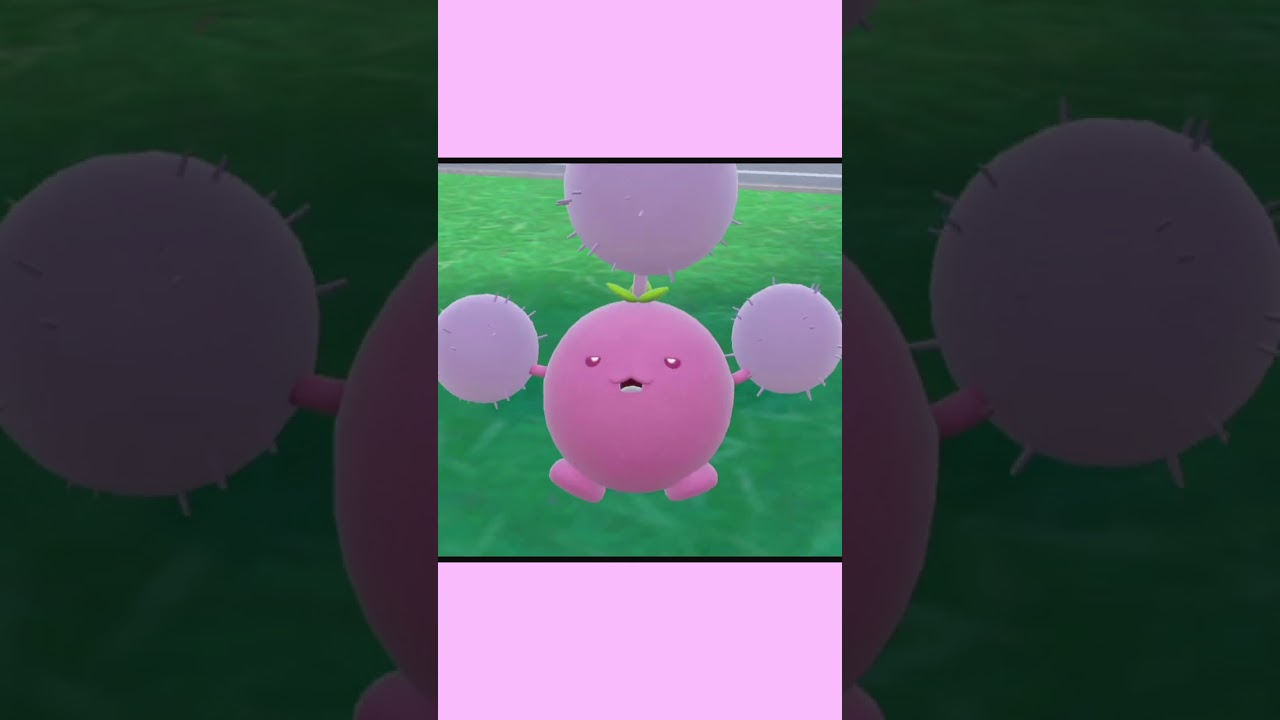 ワタッコちゃん、おやすみ〜【ポケモンSV】【色違い】