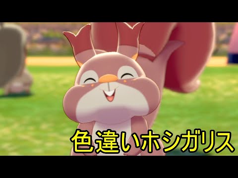 色違いロコンに会いたい【12/25】