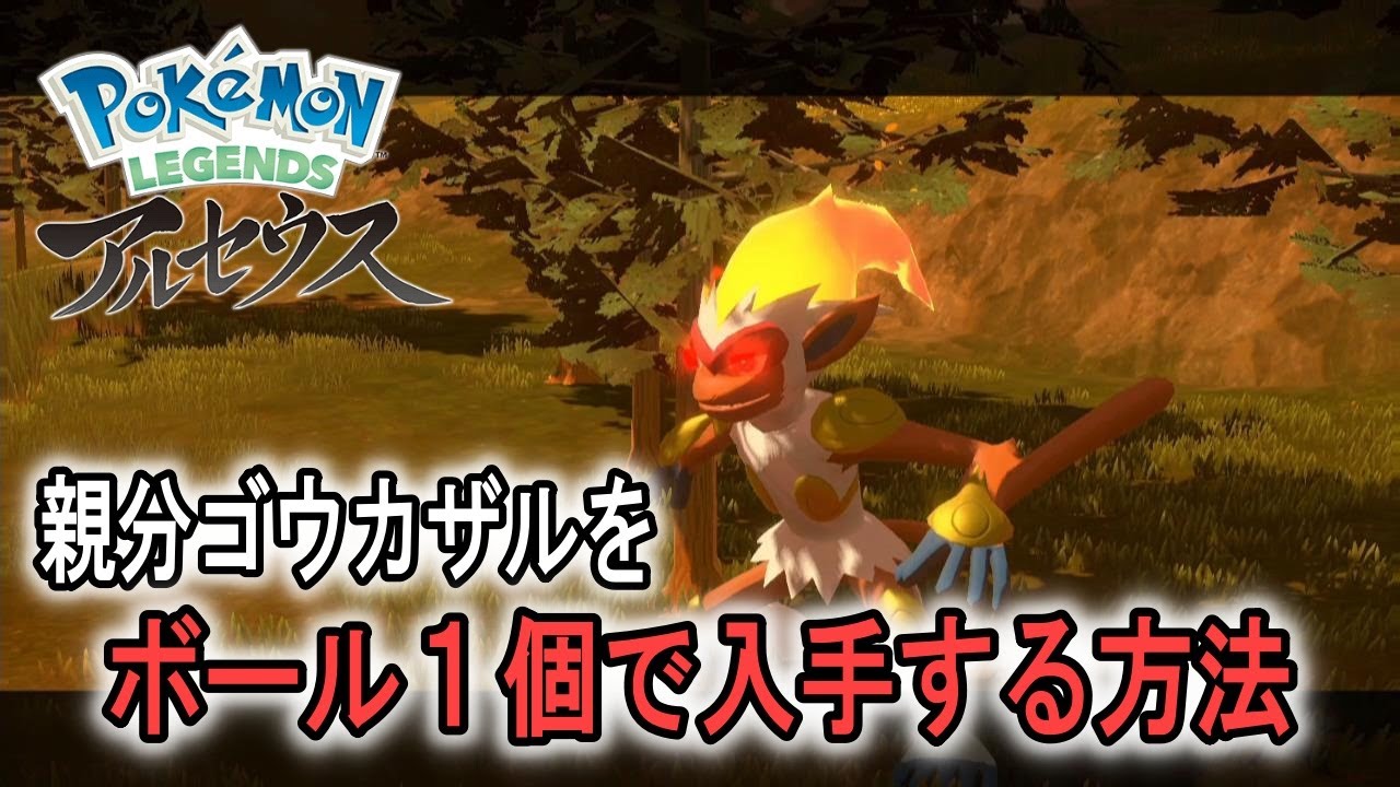 親分ゴウカザルをボール１個で入手する方法はコレ。【ポケモンレジェンズアルセウス】