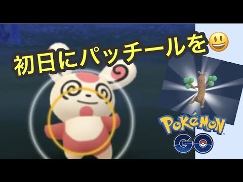 新タスクでパッチール！（ポケモンGO）