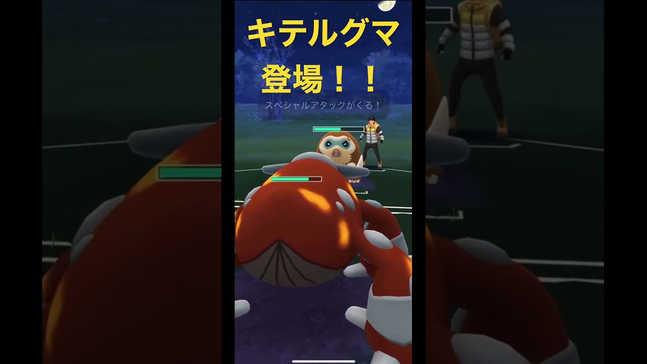 キテルグマ登場！！【Bewear】