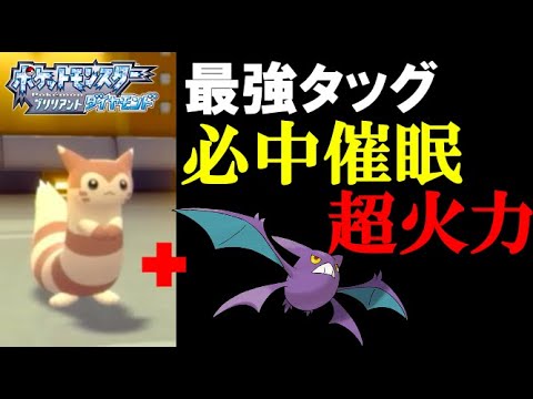 【面白ギミック#11】【最強タッグ】オオタチ＋クロバットが必中催眠と超火力で強すぎる【ダイパリメイク】【ポケモンBDSP】