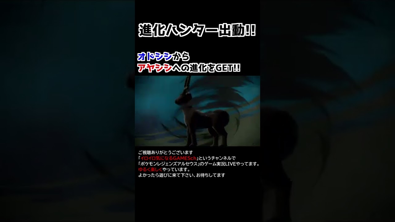 オドシシ→アヤシシ進化【Pokémon LEGENDS アルセウス】【進化ハンター】
