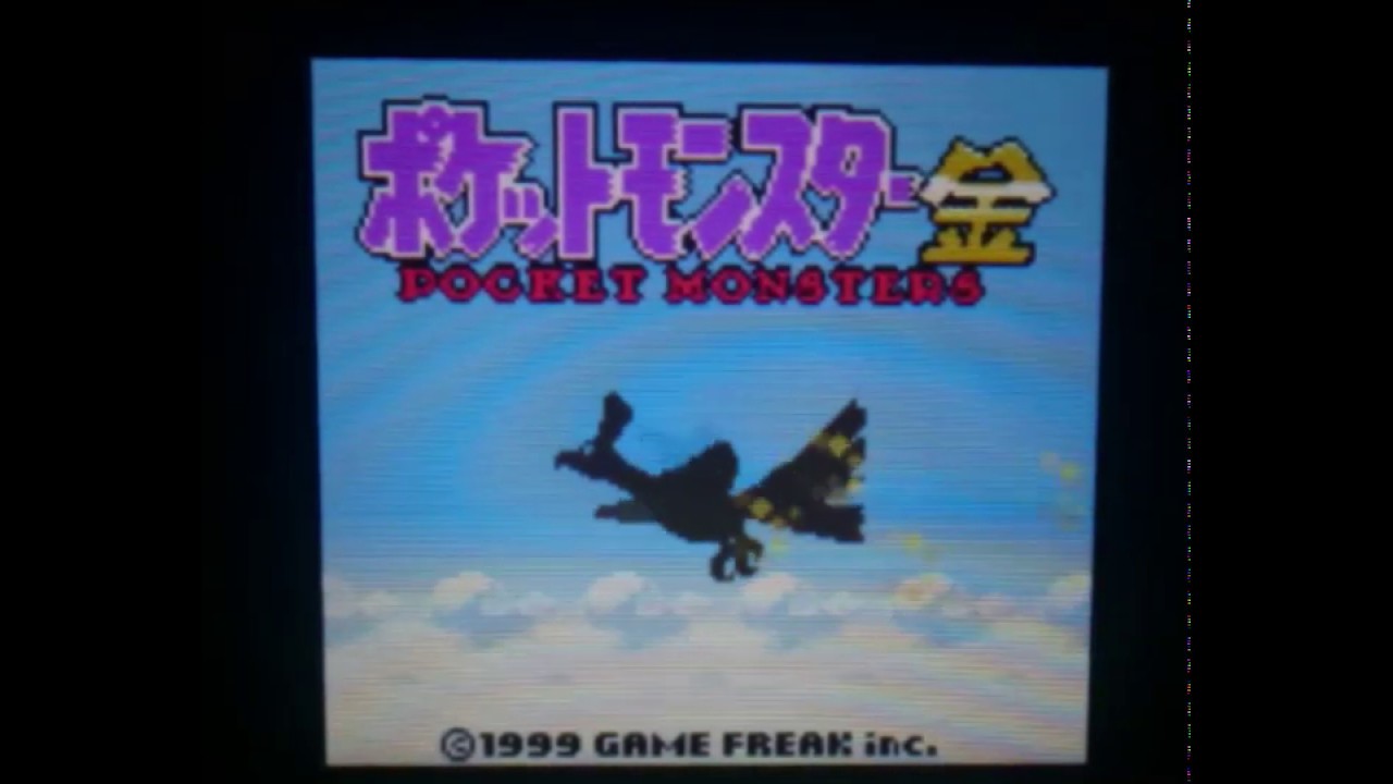 【ポケットモンスター金】9匹目  アリゲイツにどうやって乗るんだろ。