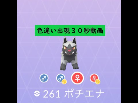 【Pokémon GO】 Rarity ”C”＃261 ポチエナ☆Shiny☆#Shorts