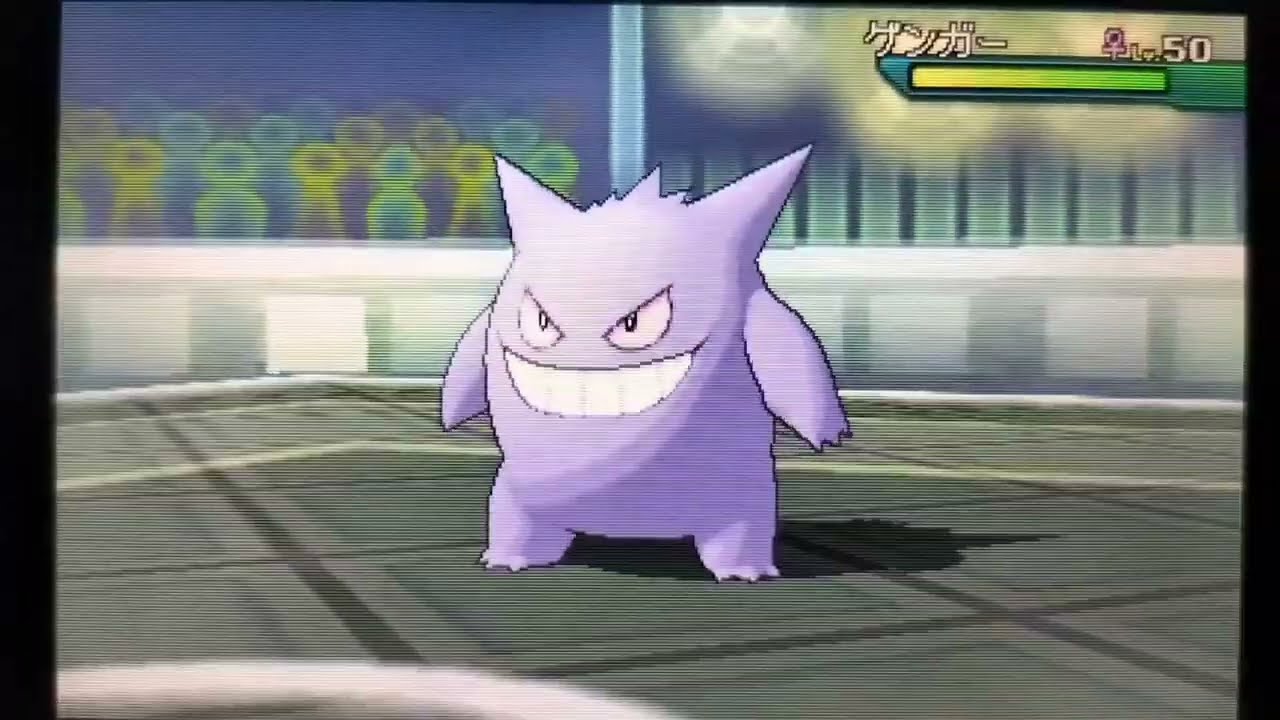 とっておきなメガミミロップ（1）【ポケモンUSUM】