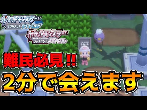 誰でも簡単に2分でフワンテに会える方法を教えます　【ポケモンBDSP】