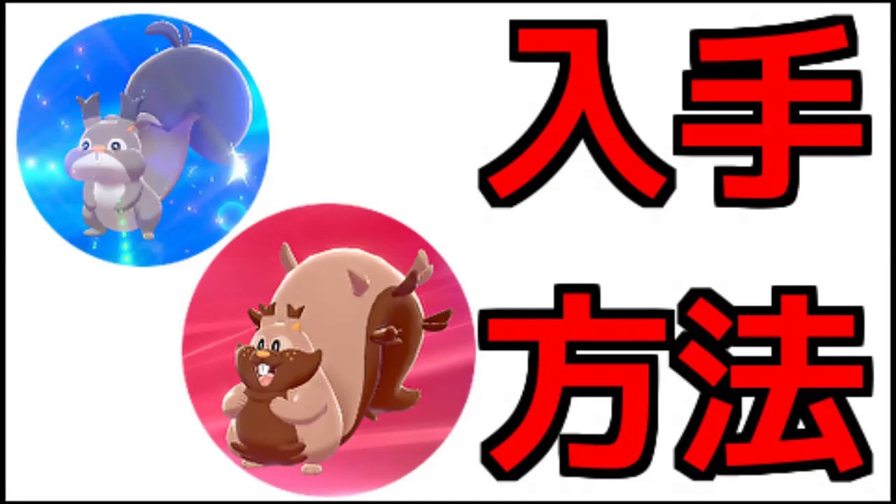 【ポケモン ソード】ホシガリス、ヨクバリス 出現場所 進化方法 『ポケットモンスター ソード・シールド』
