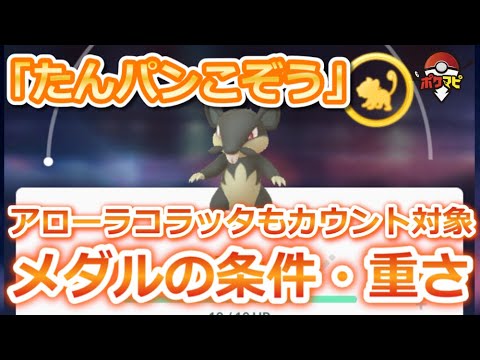 【ポケモンGO】小さいサイズのコラッタで「たんパンこぞう」メダルを進めるチャンス！交換ゲットやアローラコラッタもカウント対象！【フェアリーレジェンドY】