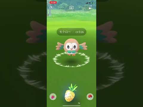 【ポケGO】ポケモンGO モクローが実装された！
