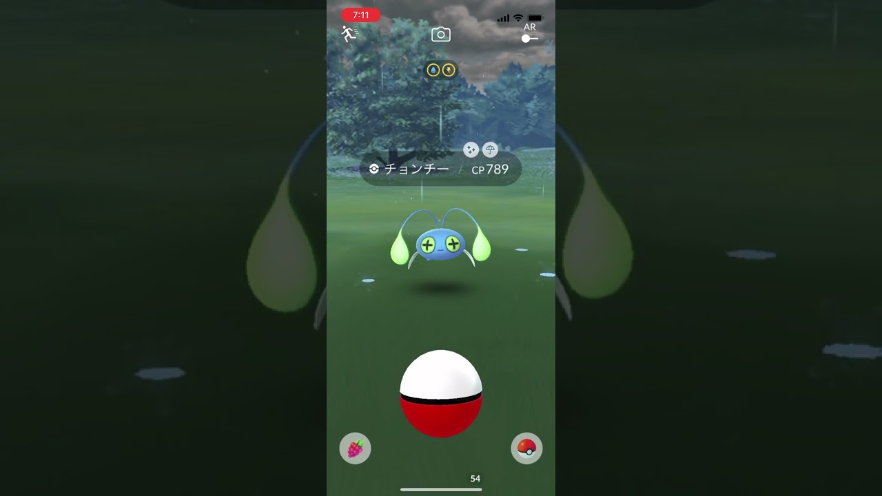 ナイアンさん月曜朝一からありがとうございます！！色違いチョンチー！ポケモンGO