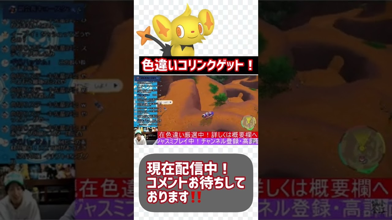 色違いコリンク出現❗️【ポケモンSV】