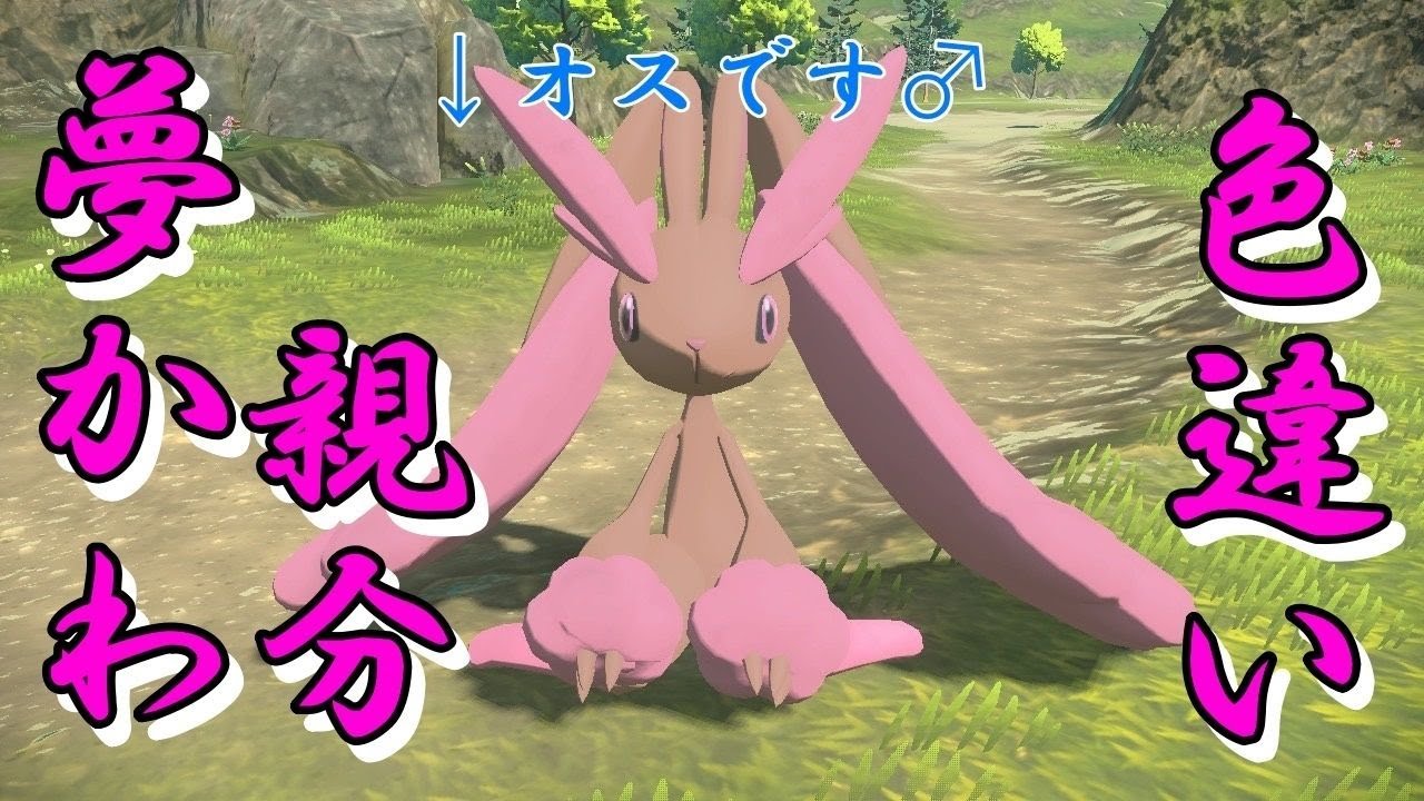 最高級の親分色違いミミロップをゲットだぁ！！【ゆっくり実況】【ポケモンレジェンズアルセウス】
