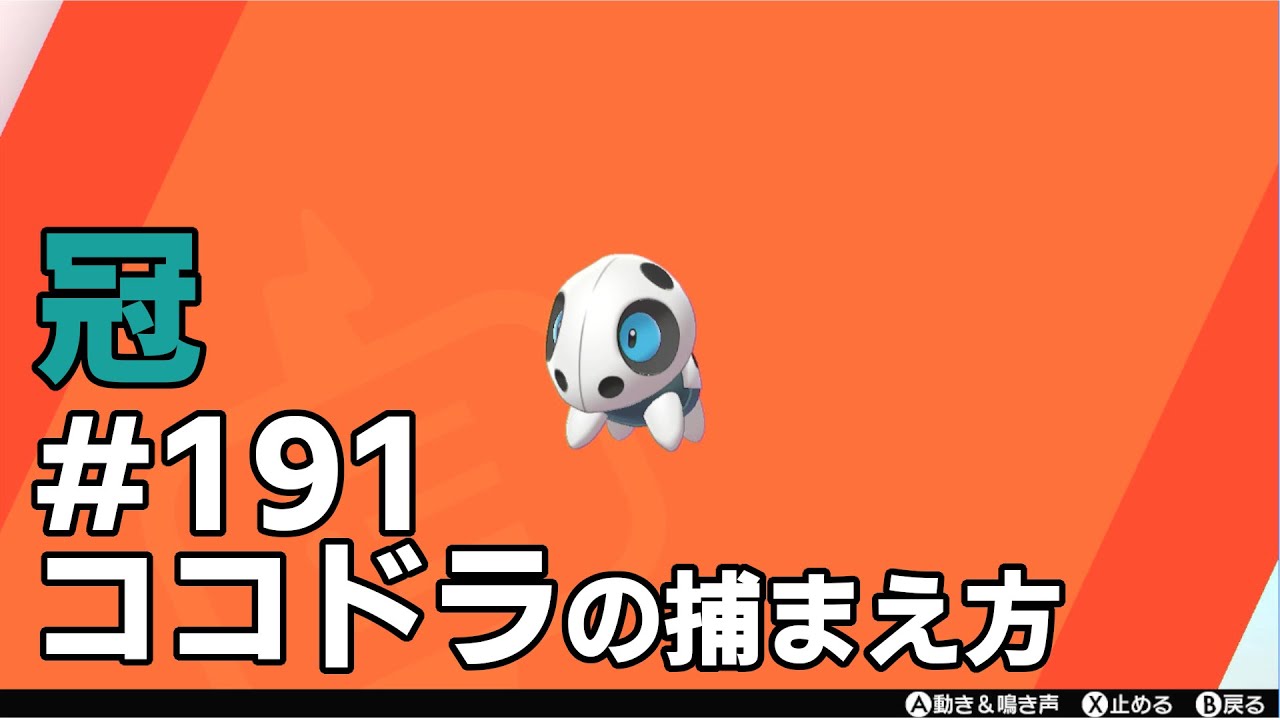 ココドラを探している方に見てほしい動画